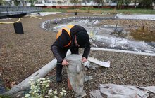 Фото 15: Громадський простір на вул. Панча готують до зими (відео)