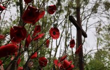 Фото 21: У Львові вшанували жертв Другої світової війни