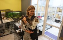 Фото 3: 72 собаки та 96 котів: волонтери Домівки врятованих тварин евакуювали хвостатих із Херсона (відео)