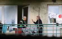 Фото 8: Територія геріатричного пансіонату у Львові зацікавила забудовників: місто готує документи до суду (відео)