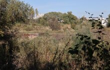 Фото 2: На Сихові облаштують парк у пам’ять про полеглих Героїв