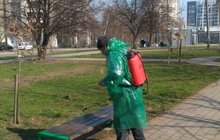 Фото 78: Комунальні служби дезінфікують місто: миють вулиці, тротуари, зупинки транспорту, сходові клітки будинків