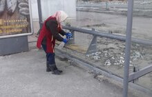 Фото 13: Комунальні служби Львова проводять миття та дезінфекцію в місті