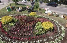 Фото 8: Комунальні служби продовжують миття міста