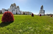 Фото 10: Сихів у квітах: на території району облаштовують квіткові композиції