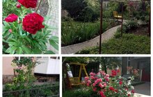 Фото 4: Відбулося нагородження переможців конкурсу на найгарніший дворик Львова