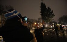 Фото 7: До Львова привезли головну ялинку міста