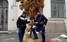 Фото 5: У Львові вже виготовили головний Дідух міста