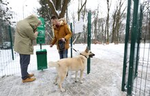 Фото 1: У Львові облаштували ще один тренувально-вигульний майданчик для собак
