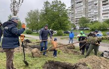 Фото 2: Сакури, клени, липи, граби, дуби та груші: у Львові за тиждень висадили понад 60 дерев та кущів