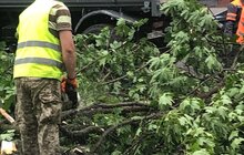 Фото 1: «До прибирання міста було задіяно сьогодні 1694 працівники комунальних підприємств і 72 одиниці техніки», - І. Маруняк