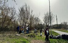 Фото 1: У двох парках Львова провели весняні толоки