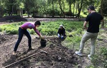 Фото 2: Лучні квіти і трави: у львівському парку засіяли різнотрав’я