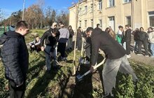 Фото 5: У шести школах та дитсадках Львова висадили дерева і кущі