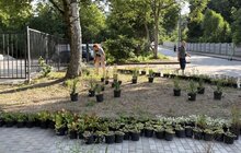 Фото 2: Біля нічліжки для бездомних облаштували новий громадський простір