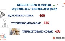 Фото 7: ЛКП «Лев» оголосило результати IV загальноміського підрахунку безпритульних собак у Львові