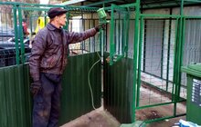 Фото 13: У Львові миють і ремонтують контейнери для відходів