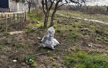 Фото 9: В рамках ініціативи «Я допомагаю місту» до прибирання сьогодні долучилось 20 волонтерів