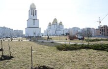 Фото 7: На Сихові висаджують 20 нових дерев, план міста на цей рік — не менше 10 тис зелених насаджень