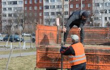 Фото 13: На Сихові висаджують 20 нових дерев, план міста на цей рік — не менше 10 тис зелених насаджень
