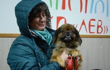 Фото 11: Відтепер в ЛКП «Лев» можна отримати сертифікат для виїзду з твариною за кордон