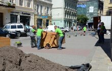 Фото 3: На пл. Катедральній висадили 10 кулястих кленів у горщиках 