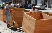 Фото 7: На пл. Катедральній висадили 10 кулястих кленів у горщиках 
