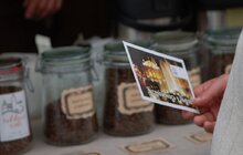 Фото 11: Дні Львова в Сумах