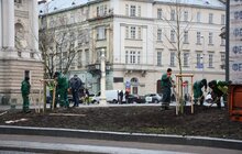 Фото 7: На площі перед Оперним театром висадили 8 платанів