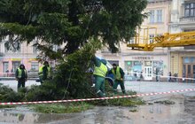 Фото 3: Головну ялинку міста демонтовують та відправлять на утилізацію