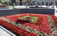Фото 8: У Львові висадили квіти