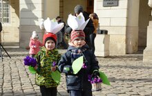 Фото 17: У Львові відбулася акція «Збережемо первоцвіти!»