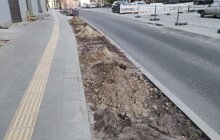 Фото 1: Реконструкція вулиці Шевченка: завершили монтаж трамвайних колій та копають лунки для висадки дерев