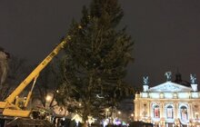 Фото 4: Святкова ялинка вже у Львові
