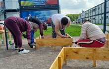 Фото 7: У Львові мешканці модульного містечка висадили грядки