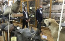 Фото 13: Мер Львова обговорив з ректором ЛНУ будівництво приміщення для музеїв і наукових лабораторій університету