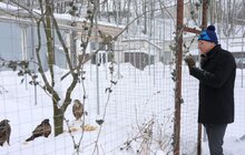 Фото 26: У мерії розглядають можливості комплексного розвитку парку «Знесіння» і Домівки врятованих тварин