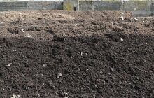 Фото 4: У Львові вперше продали компост на аукціоні через Prozorro