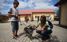Фото 11: У Львові відомі спортсмени допомагали безпритульним тваринам