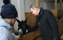 Фото 31: У мерії розглядають можливості комплексного розвитку парку «Знесіння» і Домівки врятованих тварин