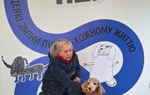 Фото 12: Понад 20 тварин із ЛКП «Лев» знайшли дім у лютому