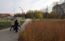Фото 10: На вул. Кульчицької, 18 залишиться сквер: рішення суду