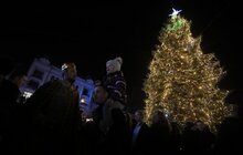 Фото 17: У Львові урочисто відкрили головну святкову ялинку міста