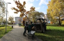 Фото 2: У парку «700-річчя» триває висадка дерев та кущів