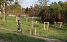 Фото 16: У парку «700-річчя» триває висадка дерев та кущів