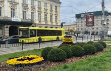 Фото 8: Квітковий годинник на площі Митній вже у синьо-жовтих квітах