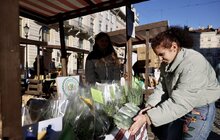 Фото 5: На площі Ринок запрацював Ярмарок громад «Львівської агломерації»