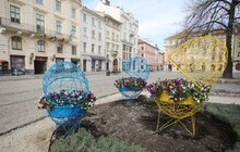Фото 9: У Львові висаджують квіткові композиції