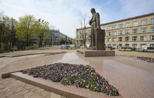 Фото 20: У Львові висаджують квіткові композиції