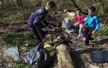 Фото 15: Сьогодні Львів прибирають в рамках акції «З нами місто розквітає»